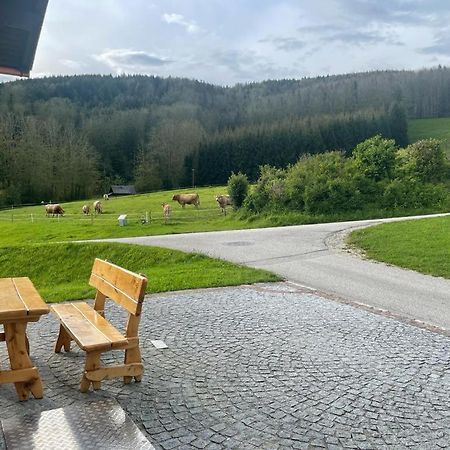 Ferienwohnung ,Hoizmann' Pinsdorf Bagian luar foto