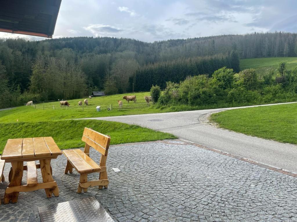 Ferienwohnung ,Hoizmann' Pinsdorf Bagian luar foto